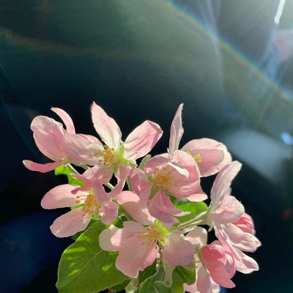 Meet your Posher, Yusra - Picture 1 of 1